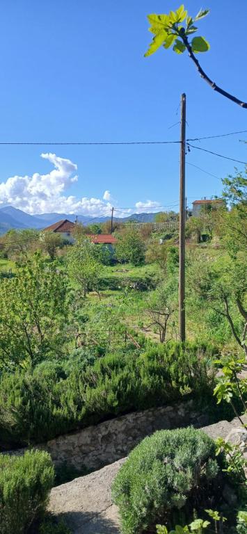Paesaggio naturale nelle vicinanze dell'agriturismo