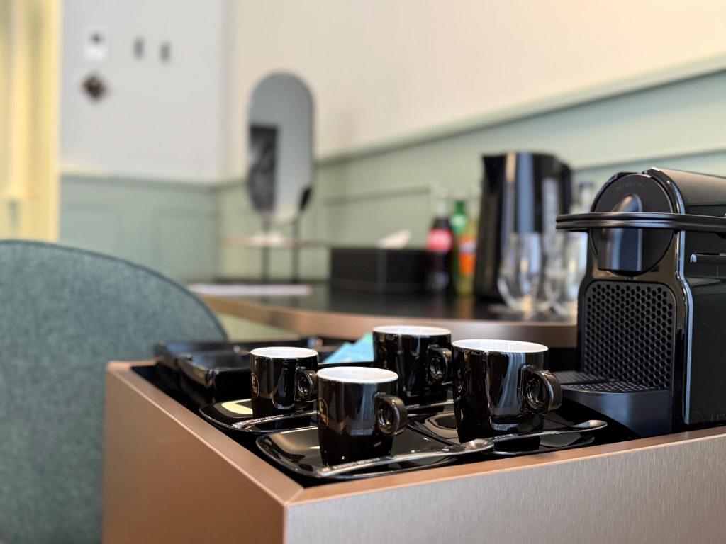 Amosa Liège City Centre Hotel - Resim 13