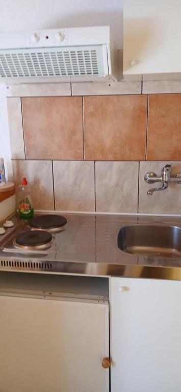 a kitchen with a stove and a sink at Apartments Elena & Damir in Vis