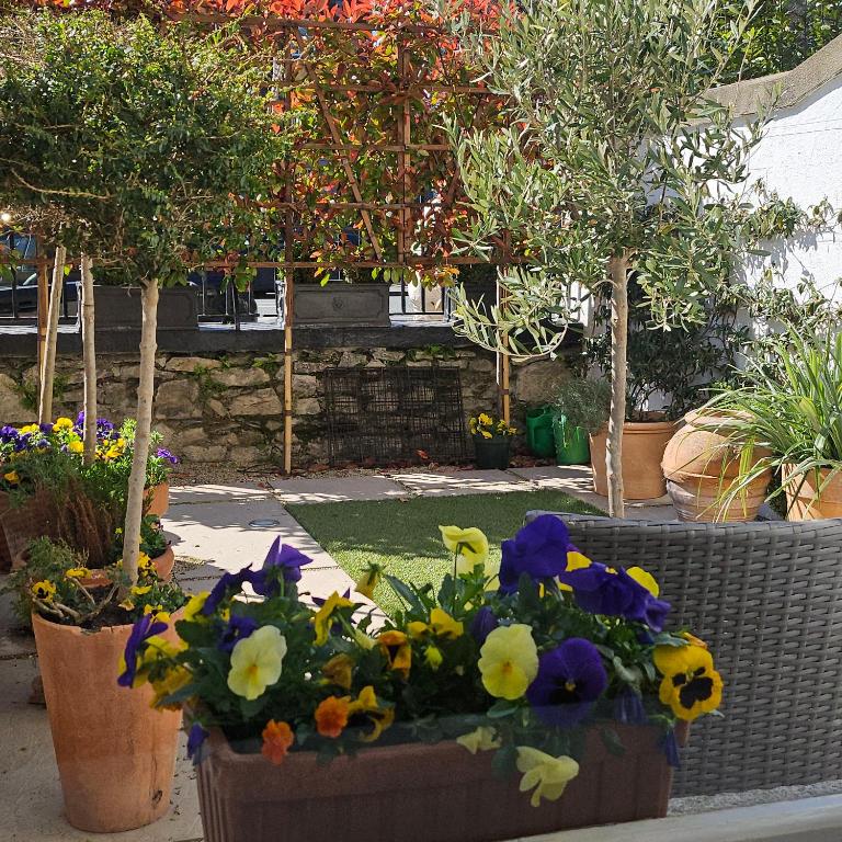 Zahrada ubytování Pembroke Guest Suite