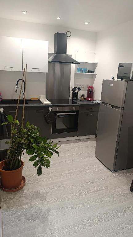 Il comprend une cuisine équipée d'un réfrigérateur et d'une plante. dans l'établissement Grand studio dans maison alsacienne, à Eschentzwiller