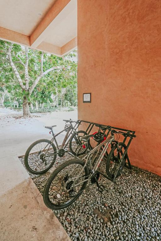 Jízda na kole v ubytování Amorita Resort Bohol nebo okolí