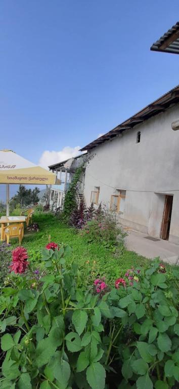 Zahrada ubytování HOTEL kichkholdash