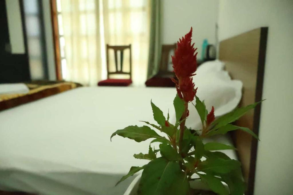 Postel nebo postele na pokoji v ubytování Mohul- A Tribal Hut,Santiniketan