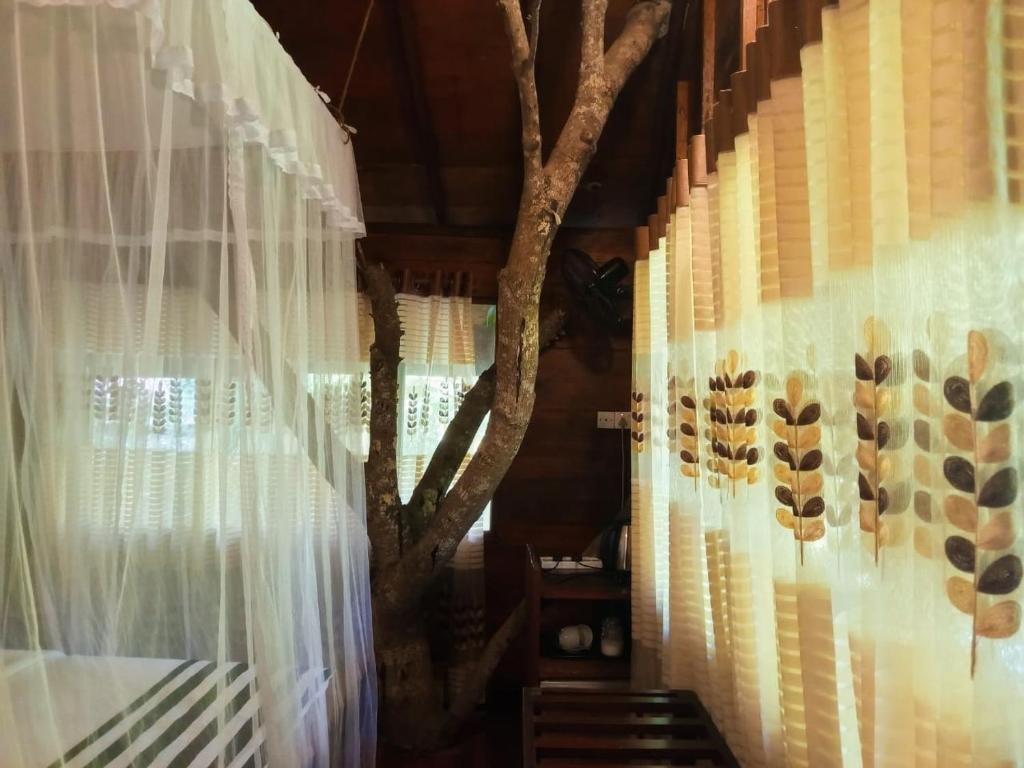 Fotografie z fotogalerie ubytování Jungle Face Inn v destinaci Ella