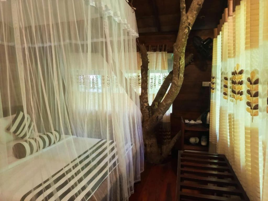 Fotografie z fotogalerie ubytování Jungle Face Inn v destinaci Ella