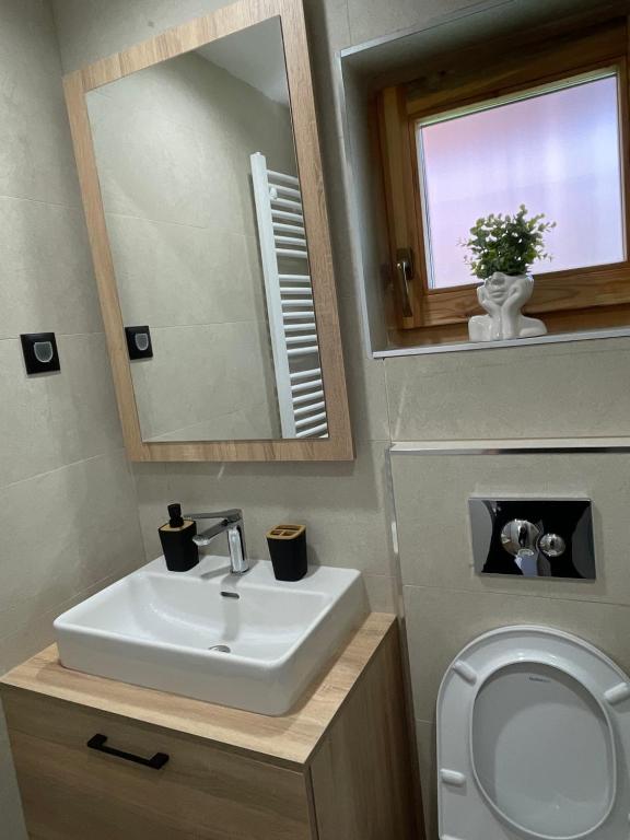 a bathroom with a sink and a mirror and a toilet at Mokrogorski konaci in Mokra Gora