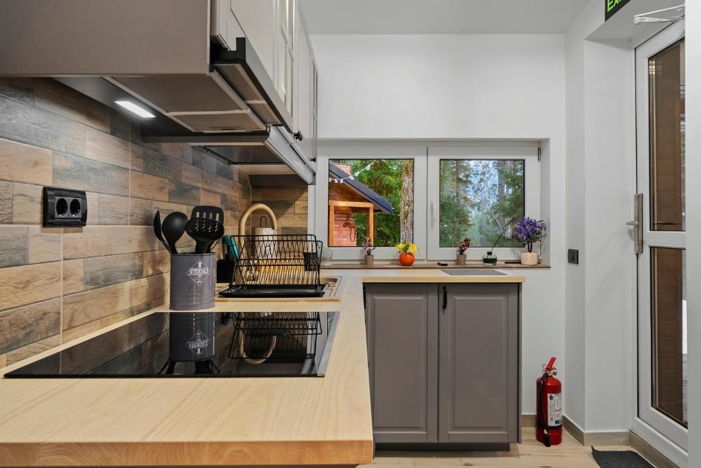 Kuchyň nebo kuchyňský kout v ubytování SEVEN Apartments