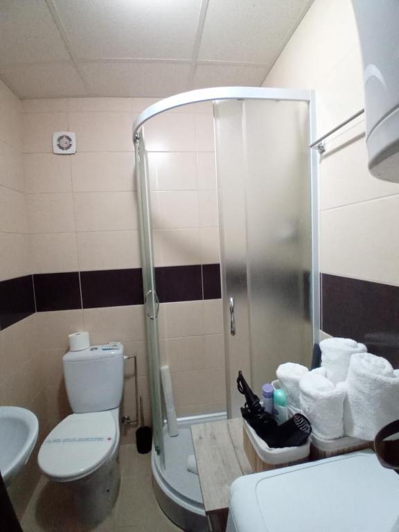 Koupelna v ubytování Apartman,, Nina ,,