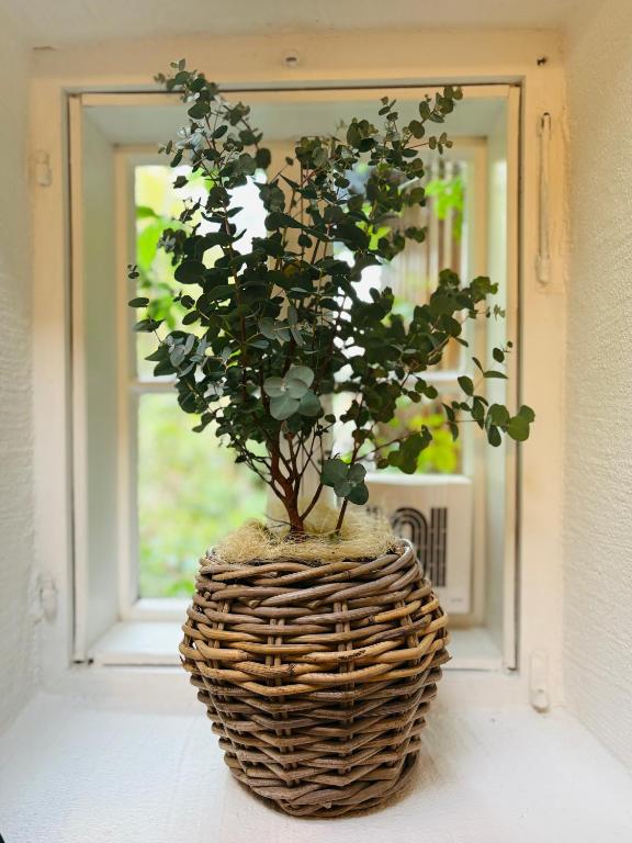 APT. STONE-LODGE - 18