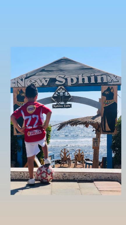 入住sphinx resort dahab的客人