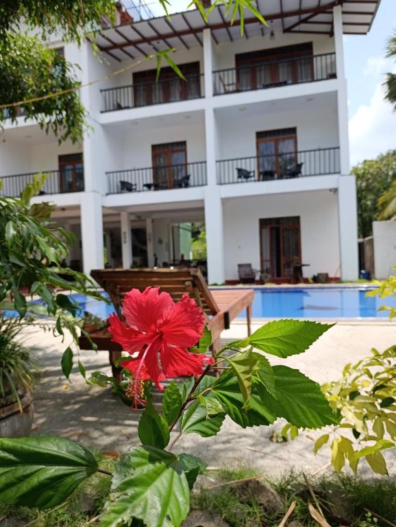 Bazén v ubytování Amelia Resort nebo v jeho okolí