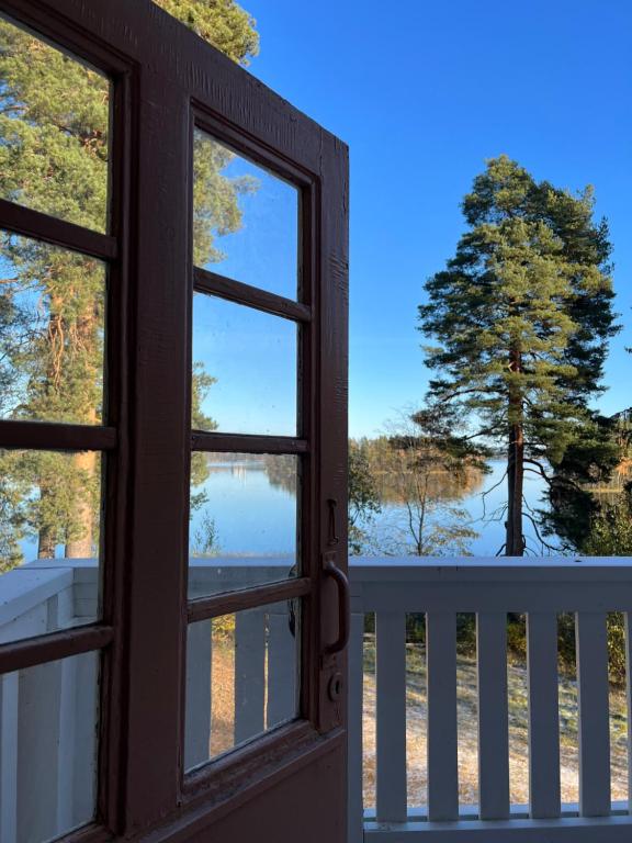 a window view of a tree from a porch at Kuopion Kesäranta in Kuopio