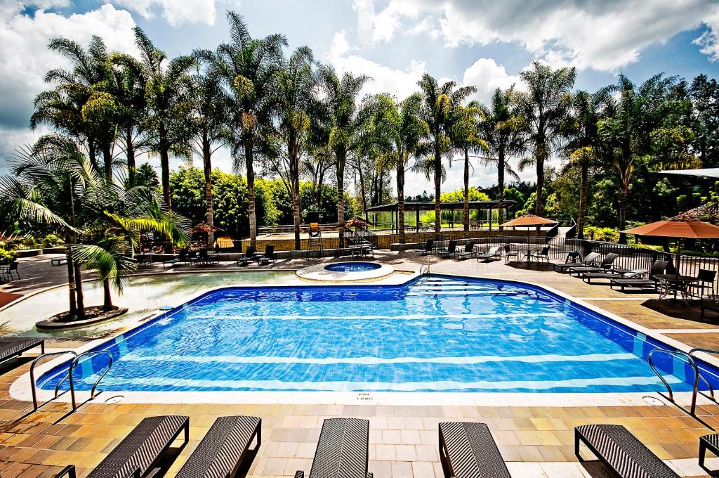 a large swimming pool with chairs and palm trees at Movich Hotel Las Lomas in Rionegro