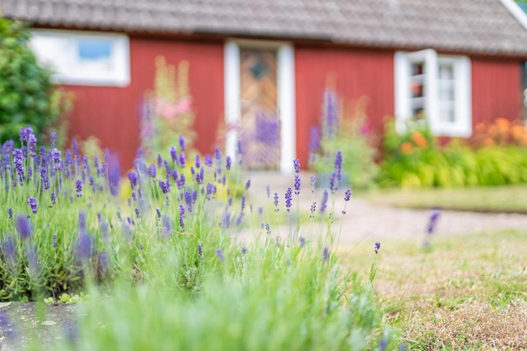 Zahrada ubytování Lantligt gästhus - Sängkläder & handdukar ingår