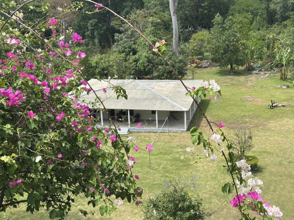 ein Haus mit rosa Blumen davor in der Unterkunft Los Atardeceres in Manaure
