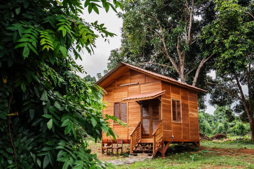 a wooden house in the middle of a forest at Kê vitamina - Solar dos Ananas in Santo Amaro