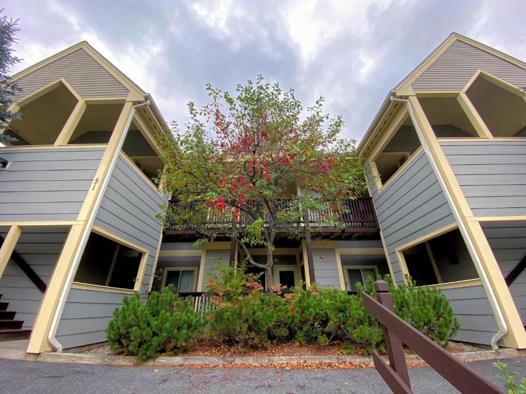 un edificio con 2 grandes ventanas y un árbol en SC27 Family style Bretton Woods condo, en Carroll