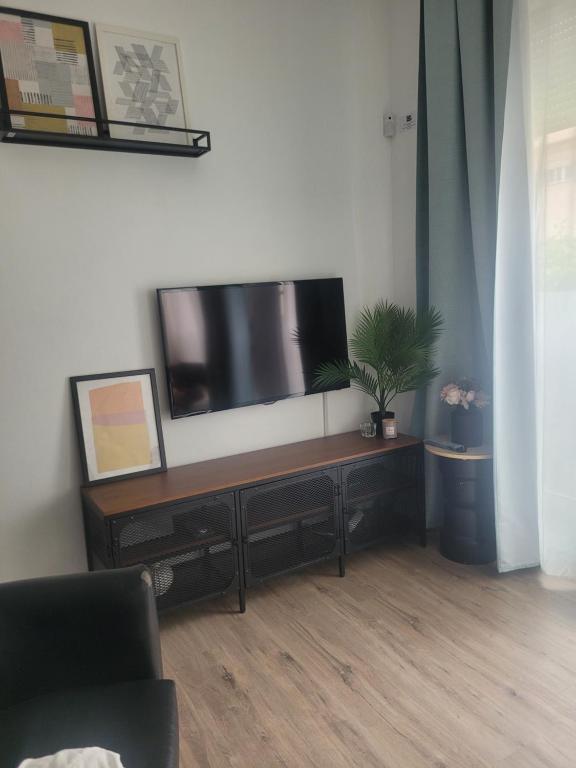 Televízia a/alebo spoločenská miestnosť v ubytovaní Apartment in the center of Seville