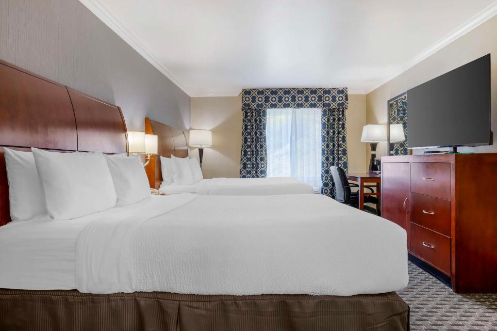 Best Western Plus Marina Shores Hotel - Camera Queen Con 2 Letti Queen-Size - Non Fumatori