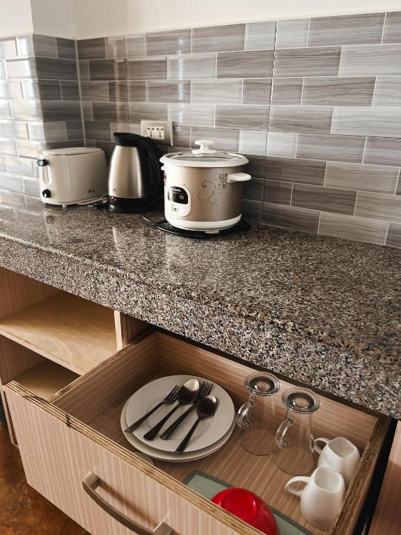 Kuchyň nebo kuchyňský kout v ubytování Seaview Mansion Dalaguete Deluxe Apartment 10