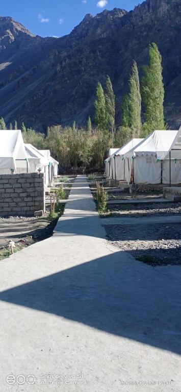 Nespecifikovaný výhled na hory nebo výhled na hory při pohledu z luxury tent