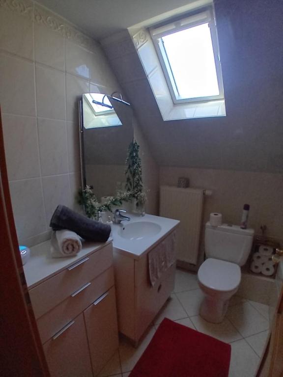 Koupelna v ubytování Chambre