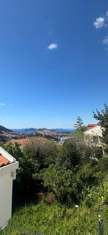 Apartments Tomas - 12