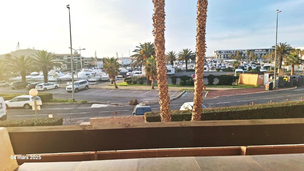 - une vue sur une rue bordée de palmiers et un parking dans l'établissement Studio 721, Port Nature 7 au village naturiste, au Cap d'Agde