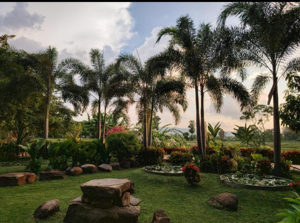 Zahrada ubytování Candela Garden