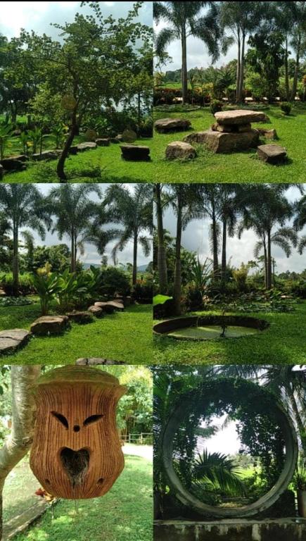 Zahrada ubytování Candela Garden