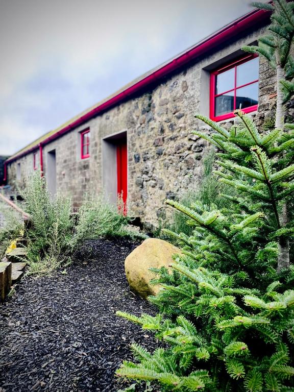 a stone building with a red door and a tree at Summerhill Byre in Ballymena