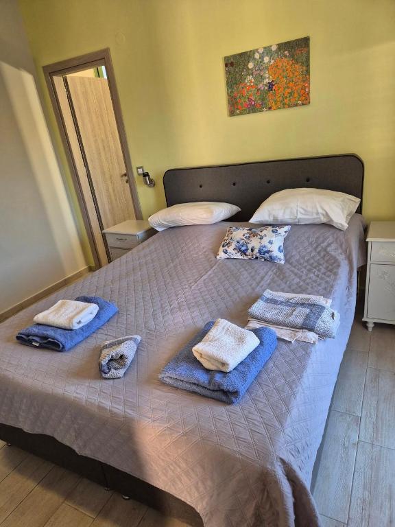 Postel nebo postele na pokoji v ubytování tzogias apartments pan
