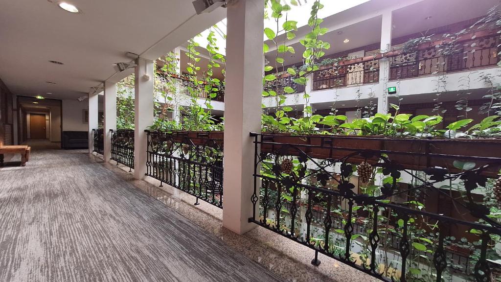 Balkón nebo terasa v ubytování Solitaire Hotel