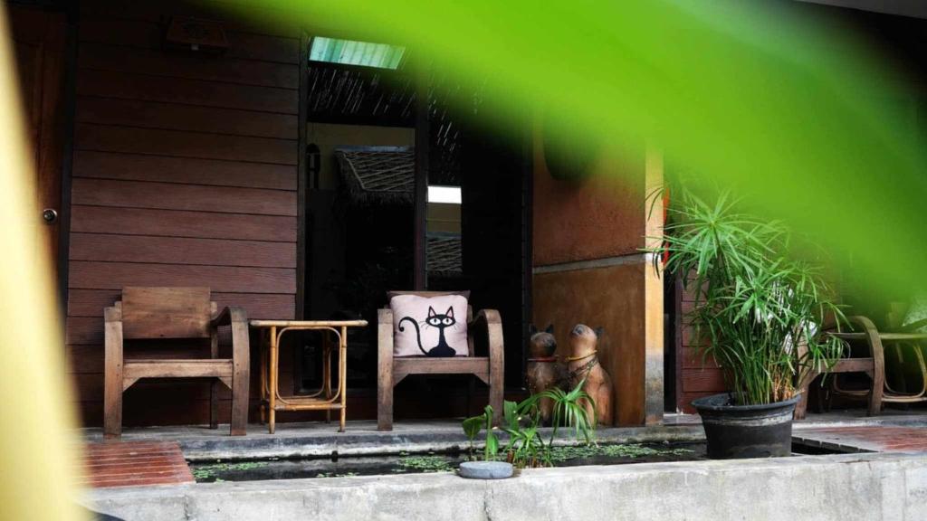 Fotografie z fotogalerie ubytování Koko Palm Inn v destinaci Chiang Mai