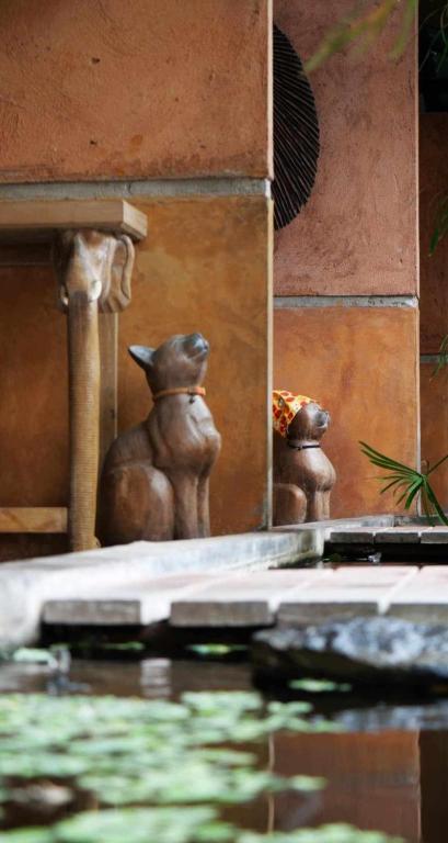 Fotografie z fotogalerie ubytování Koko Palm Inn v destinaci Chiang Mai