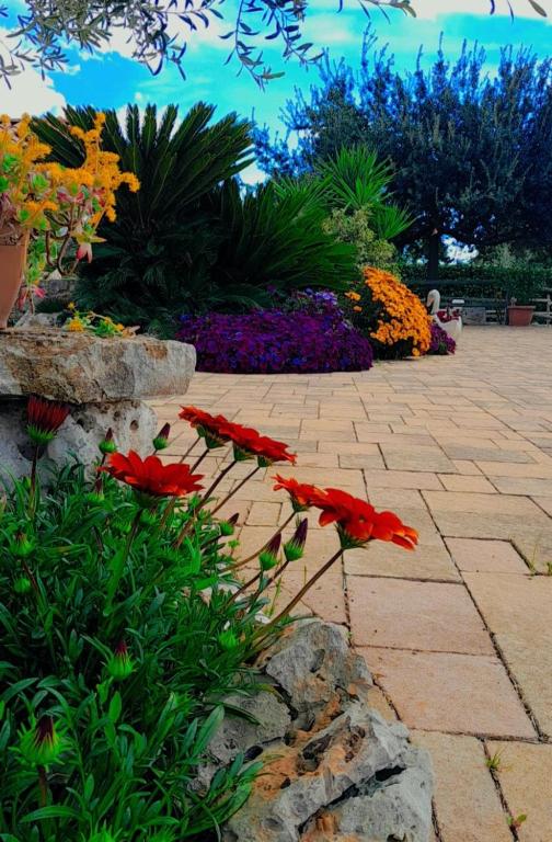 Vonkajšia záhrada v ubytovaní La Rosa dei Trulli B&B