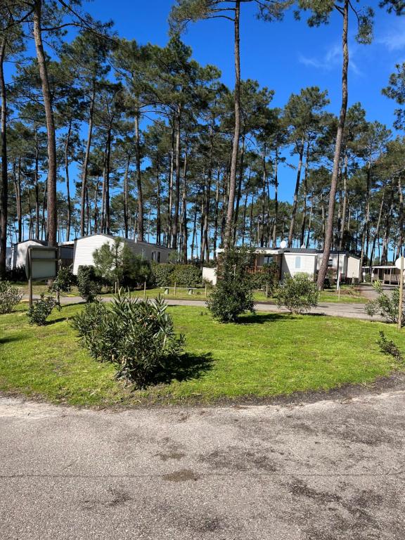 un parc planté d'arbres, d'herbes et de buissons dans l'établissement Séjour détente en mobil-home 4 à 6 pers Camping 4 étoiles, à Saint-Julien-en-Born