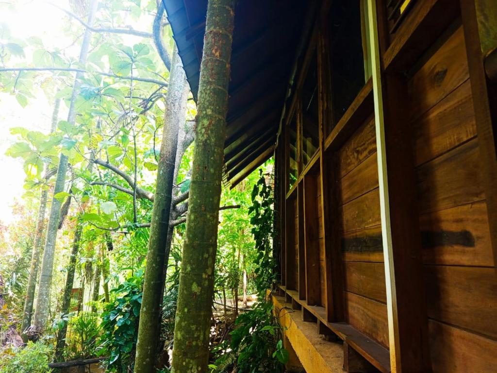 Fotografie z fotogalerie ubytování Jungle Face Inn v destinaci Ella