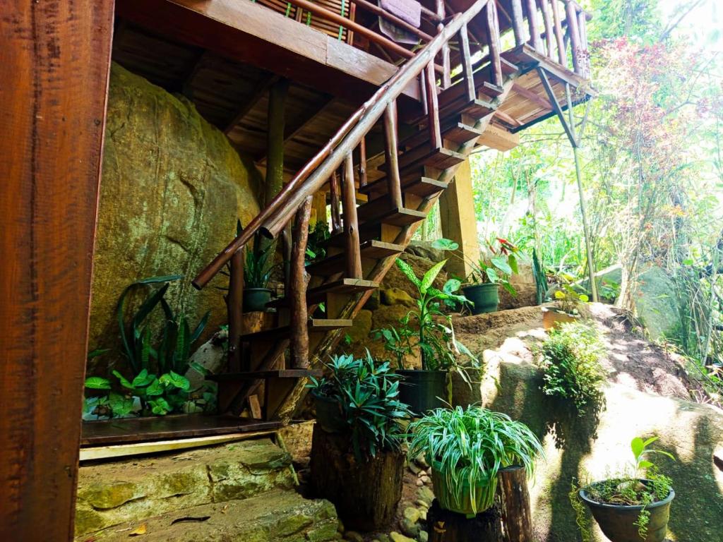 Zahrada ubytování Jungle Face Inn