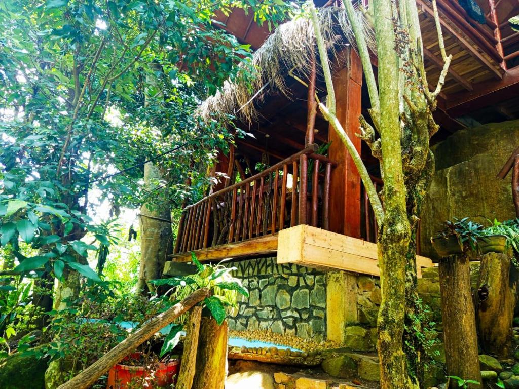 Zahrada ubytování Jungle Face Inn