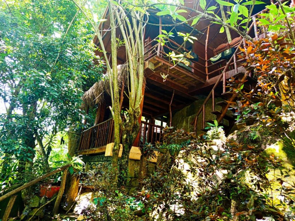 Zahrada ubytování Jungle Face Inn
