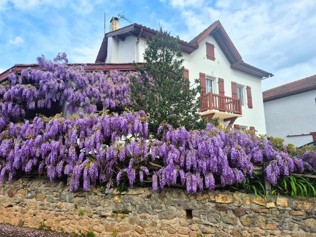 un mur de rétention avec des fleurs violettes sur une maison dans l'établissement Pays Basque Gite Munhoa, à Anhaux
