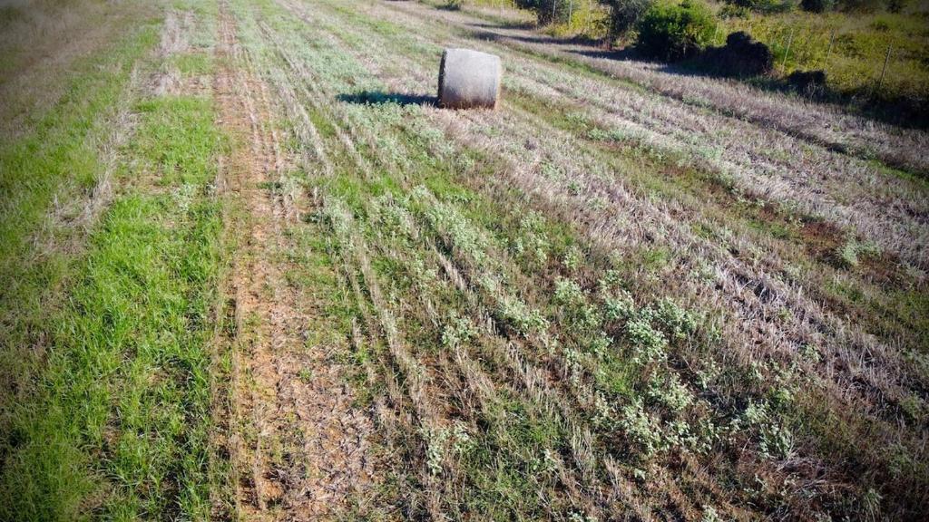 Gallery image of APPARTAMENTO DA GIOVANNI - Terrasse - Küche - Klima - Parken in Alghero airport
