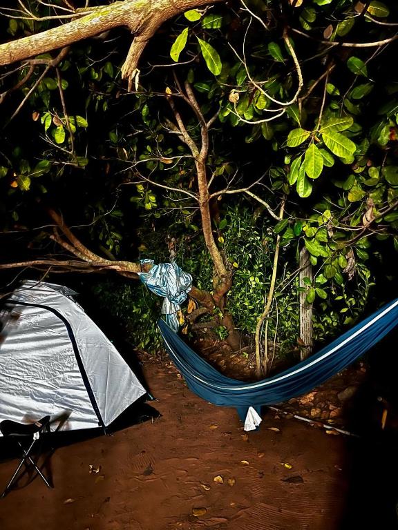 Fotografie z fotogalerie ubytování Tentopia v destinaci Auroville