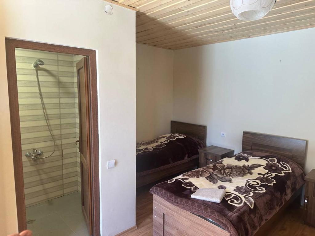a bedroom with a bed and a shower in it at Mountain house in Ushguli