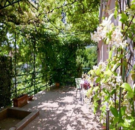 Zahrada ubytování EcoHouse Risan Studio