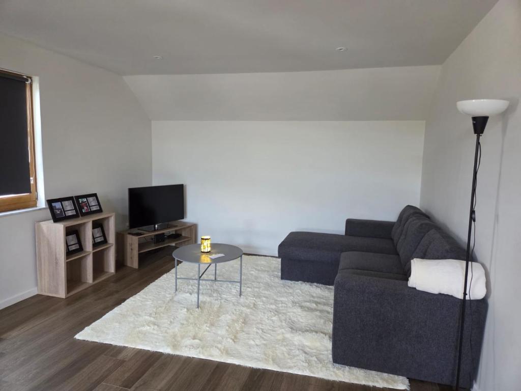 TV a/nebo společenská místnost v ubytování Entire fully equipped apartment