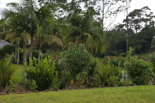 Kerikeri Blue Chair B&B - Resim 28