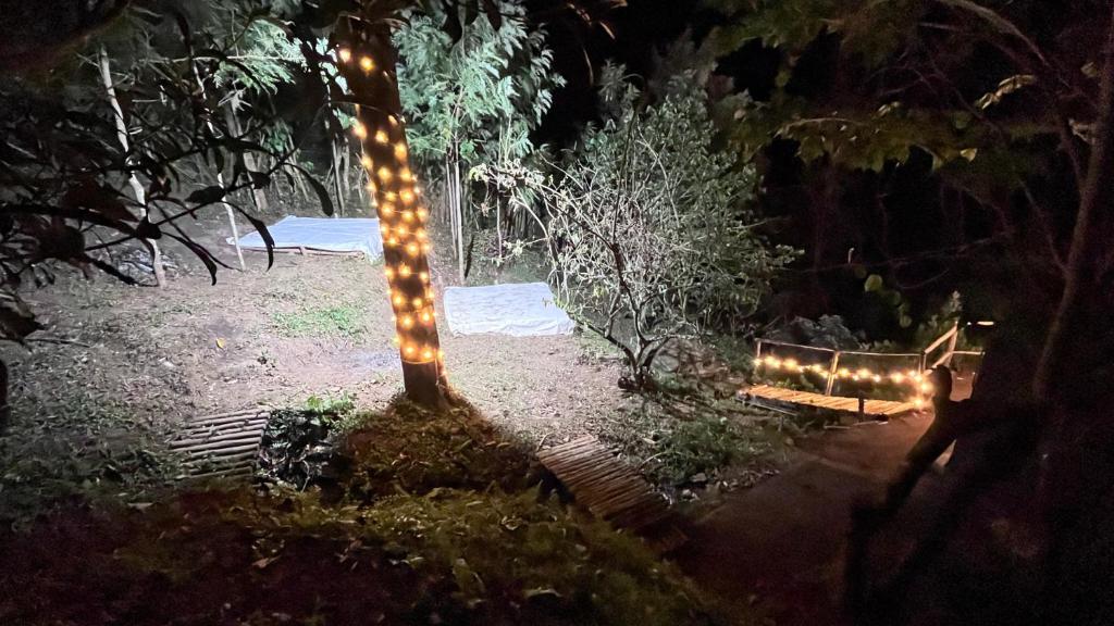 a string of lights around a tree at night at Alpine Kanthalloor CAMP SITE in Kanthalloor